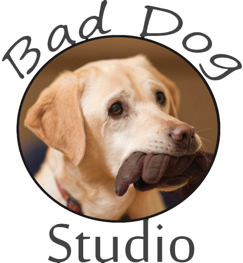 Bad dog studio